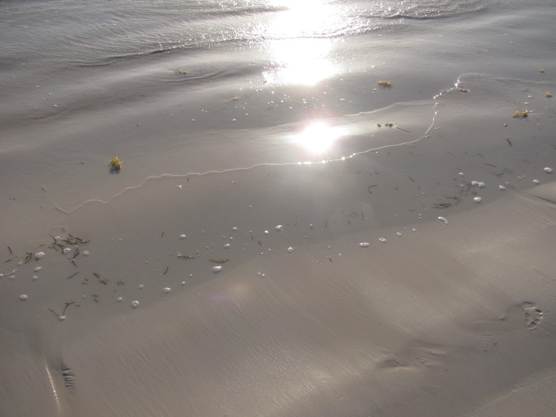 Dominican Republic 267.jpg